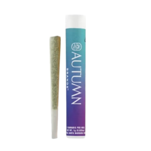 Autumn Brands - Motion Party 1G Preroll